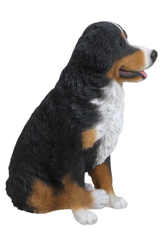 Hi-Line Gift Ltd. Bernese Mountain Dog Statue & Reviews ...