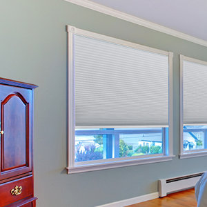 Easy Lift Trim-at-Home Cordless Blackout Fabric Cellular Shade