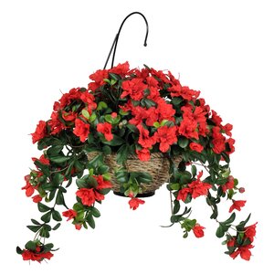 Azalea Hanging Floral Arrangement in Planter