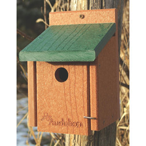 Go 8 in x 5.5 in x 6 in Bluebird House