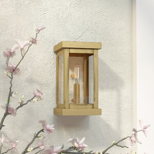 Demko 1-Light Outdoor Flush Mount