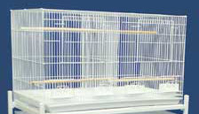 Bird Cage with Divider