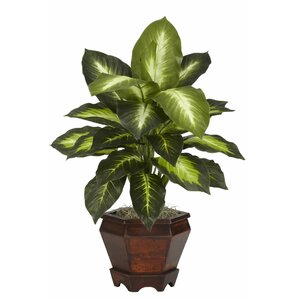 Dieffenbachia Silk Desk Top Plant in Pot (Set of 2)