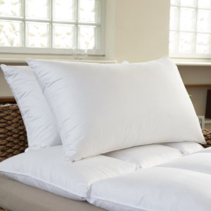 Premium Bed Feather Pillow (Set of 2) by Sweet Home Collection