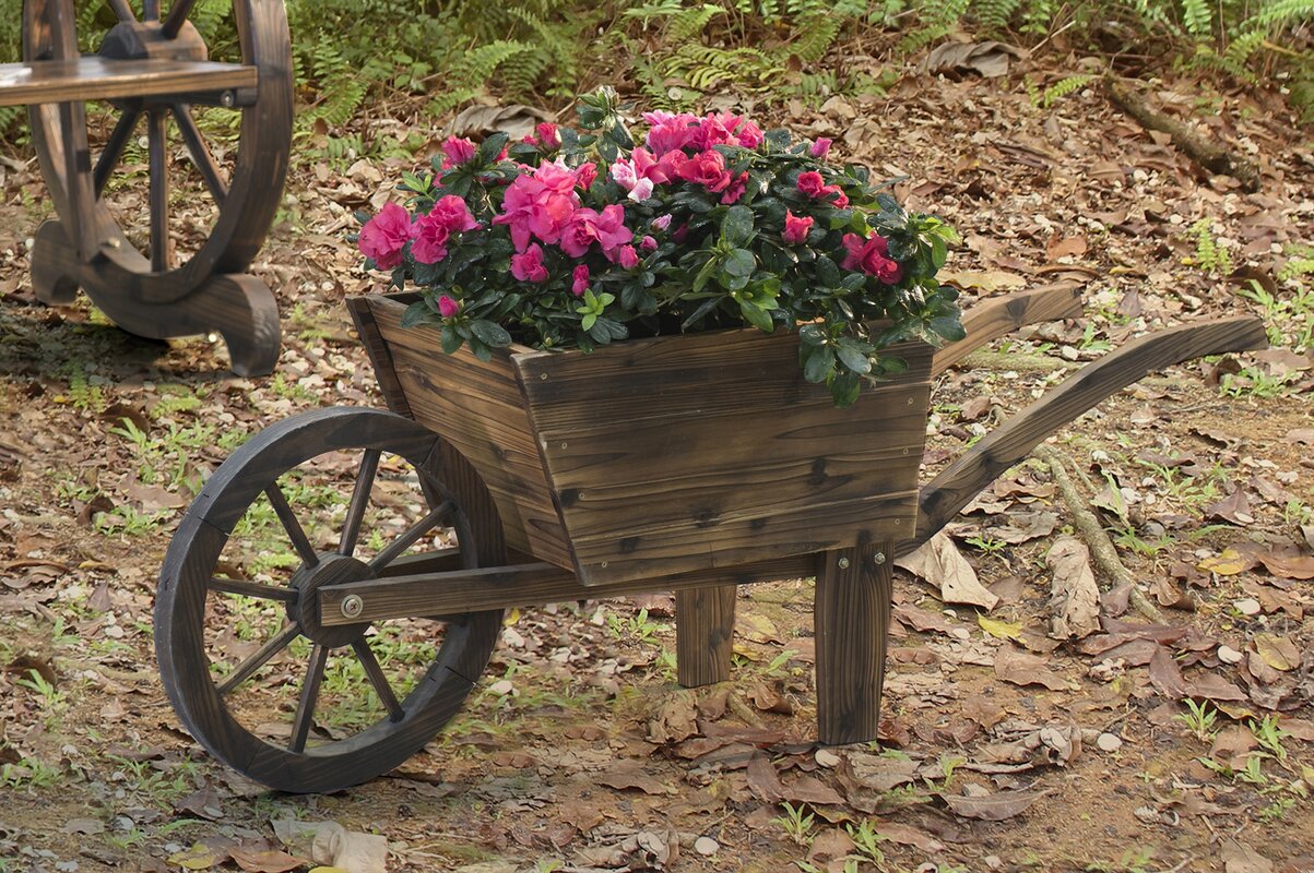 Sunjoy Wood Wheelbarrow Planter & Reviews | Wayfair