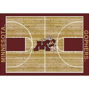 NCAA College Home Court Minnesota Novelty Rug