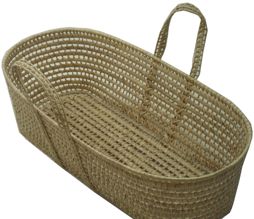 Wendy Anne Palm Leave Moses Basket With Handles & Reviews Wayfair