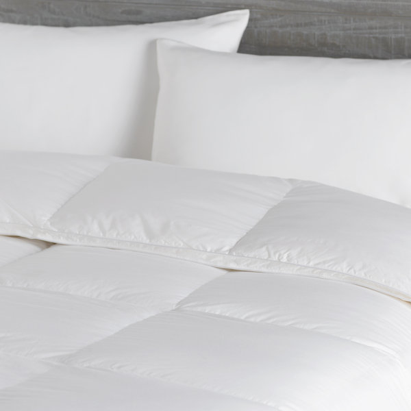 Down Inc Filled Luxury Weight Duvet Insert Reviews Wayfair