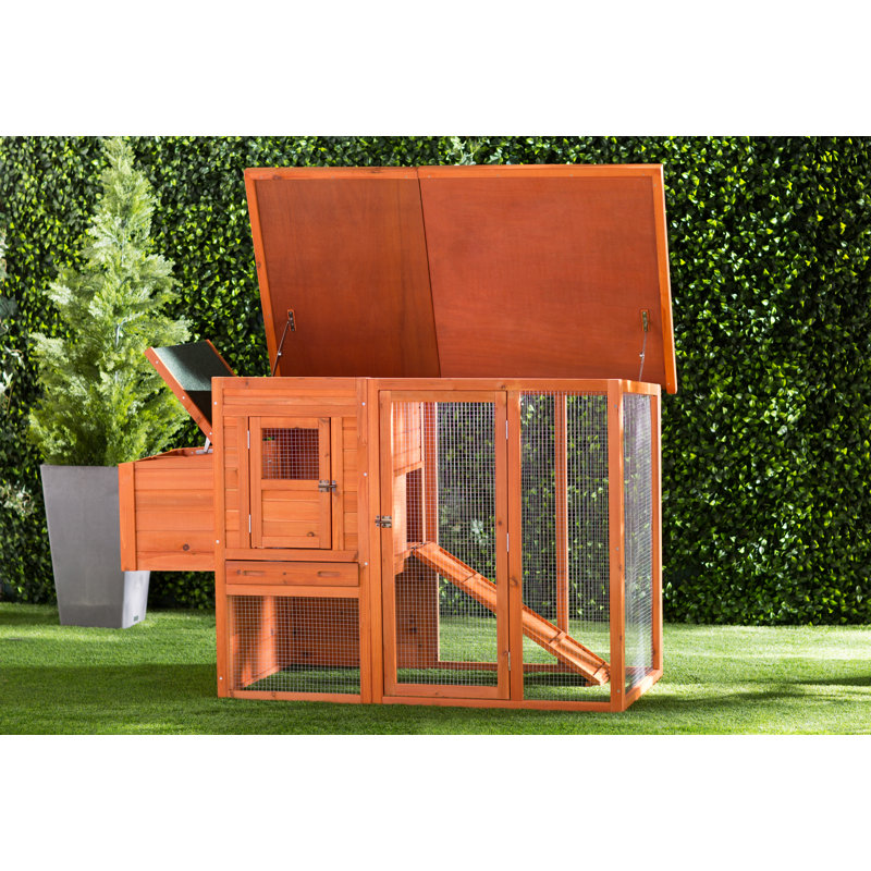 Archie & Oscar Freddy Chicken Coop with Chicken Run/Nesting Box