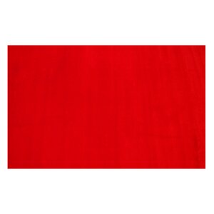 LA Kids Red Area Rug