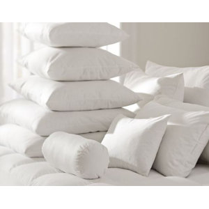 White Pillow Insert (Set of 2)