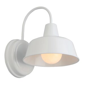 Shamong 1-Light Indoor/Outdoor Barn Light