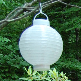 Outdoor Solar Paper Lanterns Wayfair Solar Ed Lantern