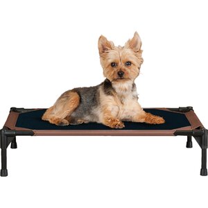 Original Cot Small Dog Bed