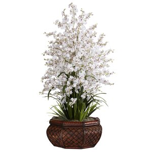 Large Dancing Lady Orchids Floral in Vase