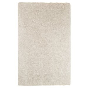 Beige Indoor/Outdoor Area Rug