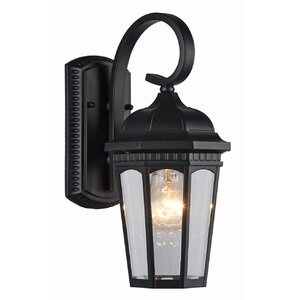 Mimosa 1-Light Outdoor Wall Lantern