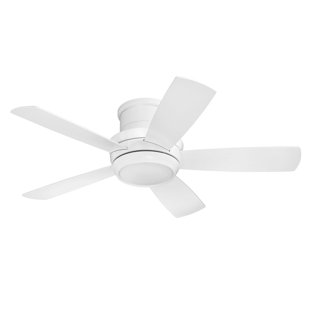 ceiling fans you ll love wayfair
