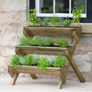Vertical Wall Planters You Ll Love Wayfair Co Uk Kundani Stepped Herb Vertical Garden