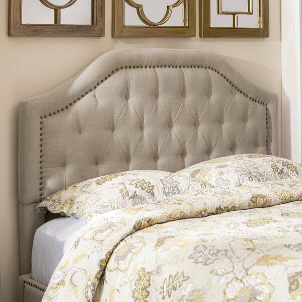 Lark Manor Djibril Scalloped Upholstered Panel Headboard & Reviews ...