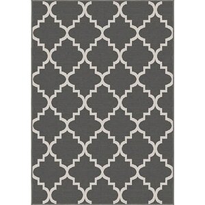 Legere Gray Area Rug