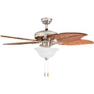 Hunter Fan 54 Caribbean Breeze 5 Blade Ceiling Fan Wayfair