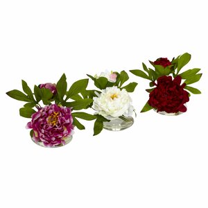 Peony with Glass Vase (Set of 3)