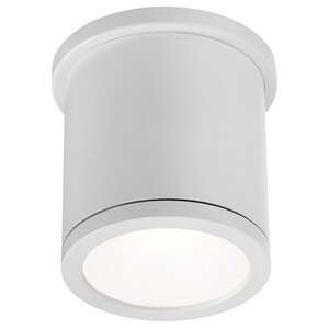 Tube 1-Light LED Flush Mount