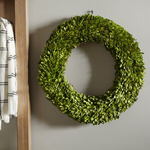 Preserved Boxwoods Preserved Wreath