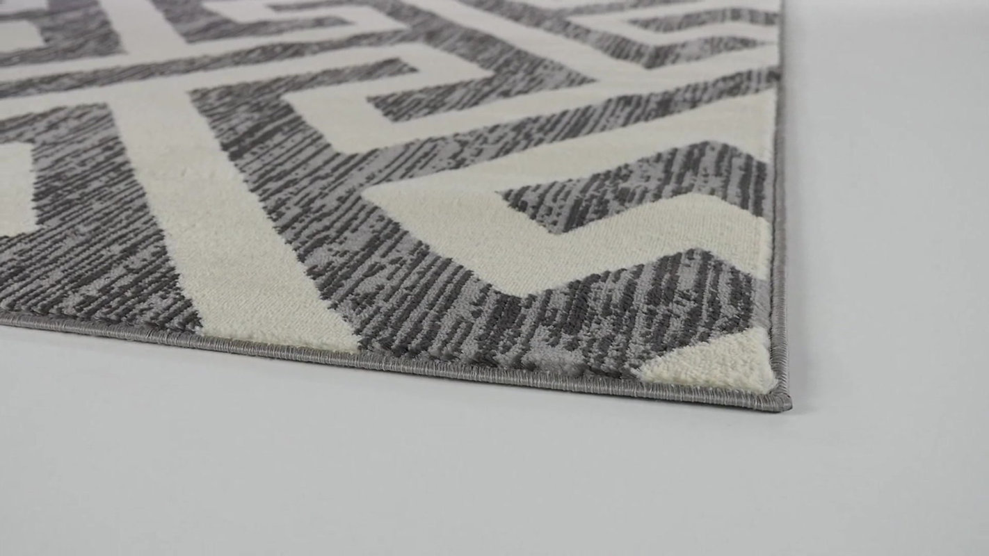 Zipcode Design Hector Gray/White Area Rug & Reviews Wayfair