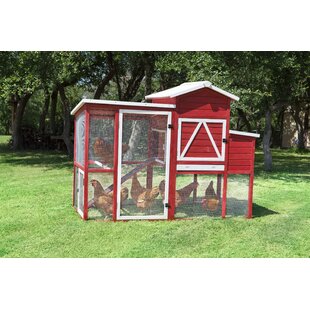 Rabbit Coop Wayfair