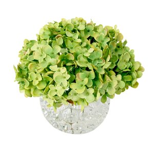 Hydrangea Thousand Eye Water Bowl