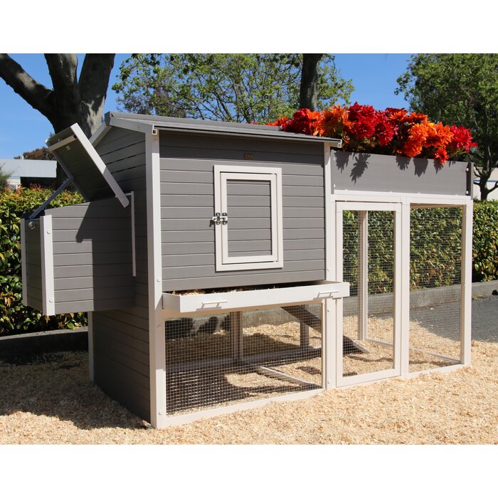 Josepha Chicken Coop With Rooftop Garden