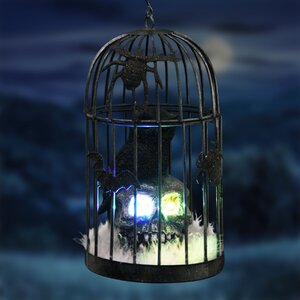 Caged Owl on Skull Figurine with Color Changing LED's and Timer