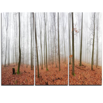 Designart Fall Forest With Trees At Mist 3 Piece Graphic