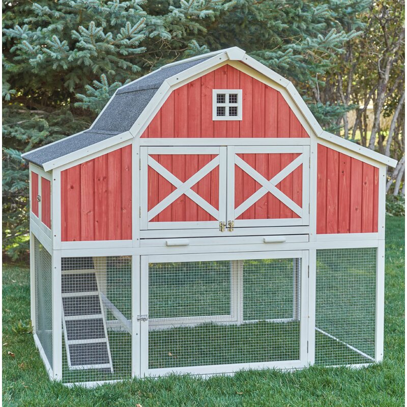 ChickenSaloon Barn Chicken Coop with Roosting Bar & Reviews | Wayfair