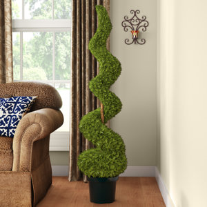 Cedar Spiral Tree with Ball in Green Pot