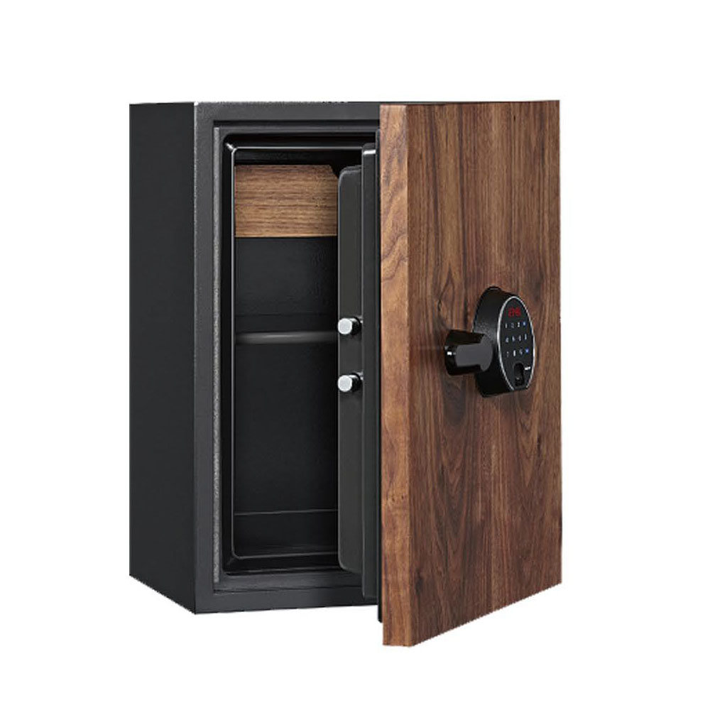 Wilson Safe Biometric Lock Wayfair