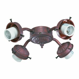 4-Light Branched Ceiling Fan Light Kit