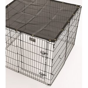 Exercise Pen Sunscreen Top