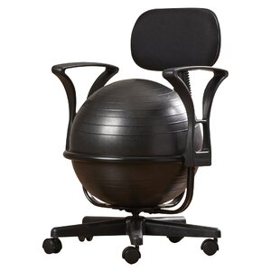 Exercise Ball Chair