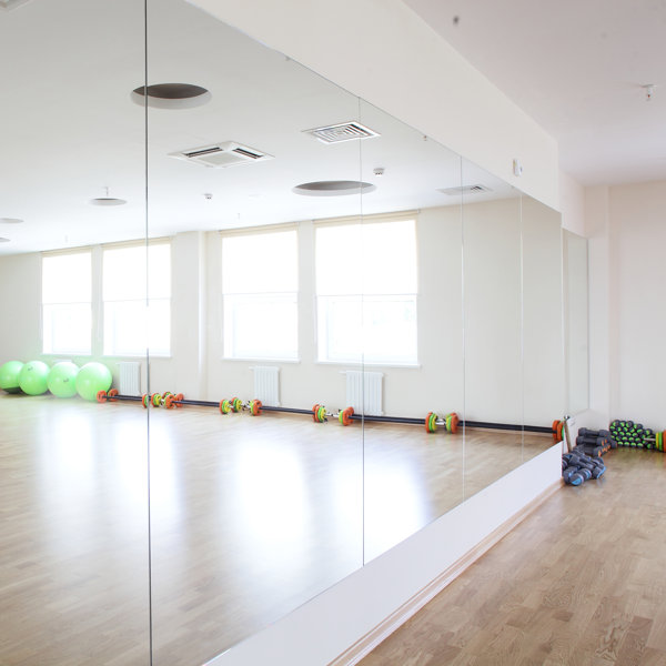 Large Gym Mirrors Wayfair