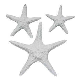 White Starfish Wall Decor Wayfair Save
