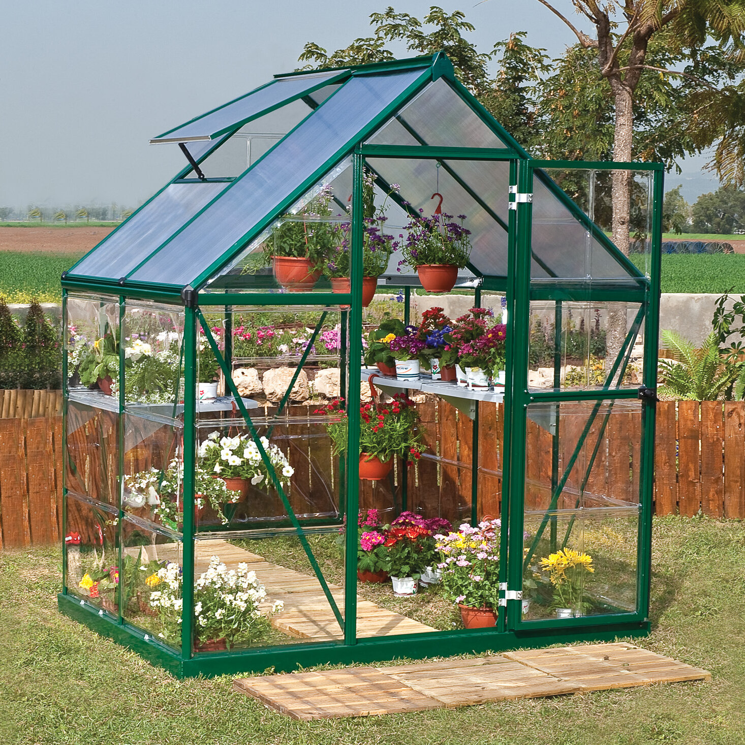 Darby Home Co Shearson 6 Ft W X 45 Ft D Greenhouse Wayfair