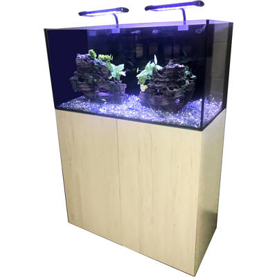 eliv 40 gallon ifalos