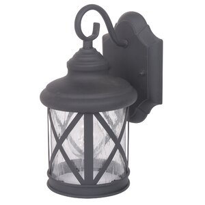 Ruggerio 1-Light Outdoor Wall Lantern