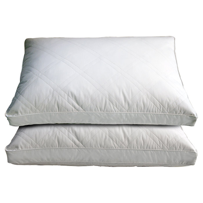 Blue Ridge Home Fashion Double Quilted Goose Feather Standard Pillow