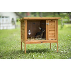 Rabbit Hutch