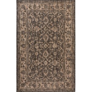 Haddenham Brown Indoor/Outdoor Area Rug