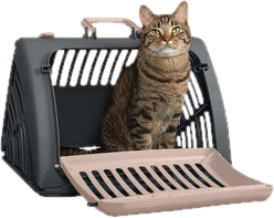 Cat Furniture | Wayfair